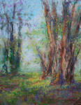 Forest Landscape